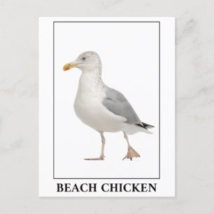 Beach Chicken - Seagull Gull Spaß Postkarte