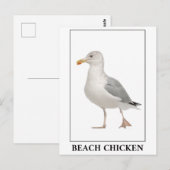 Beach Chicken - Seagull Gull Spaß Postkarte (Vorne/Hinten)
