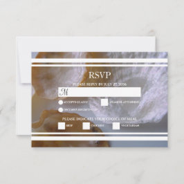 Beach Clams Wedding RSVP Cards