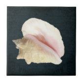 Beach Conch Seashell Küstenlinie Muschel Navy Blue Fliese (Vorderseite)