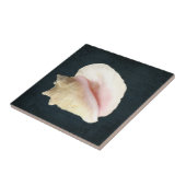 Beach Conch Seashell Küstenlinie Muschel Navy Blue Fliese (Seite)