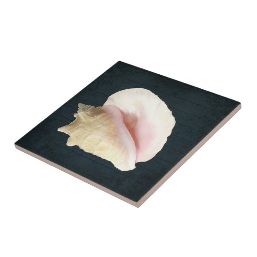 Beach Conch Seashell Küstenlinie Muschel Navy Blue Fliese (Seite)