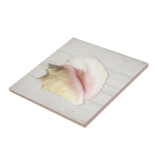 Beach Conch Seashell Küstenlinie Muschel Weißer Wa Fliese (Seite)