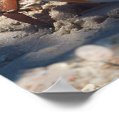 Beach Crab Poster (Ecke)