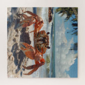 Beach Crab Puzzle (Horizontal)