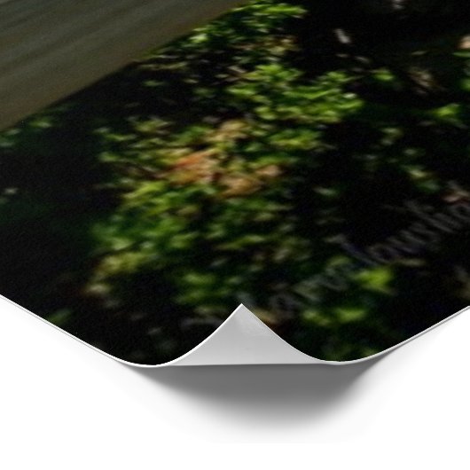 Beach Dock Poster, Kapstadt, Südafrika Poster (Ecke)