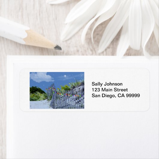 Beach Fence & Dunes (Insitu)