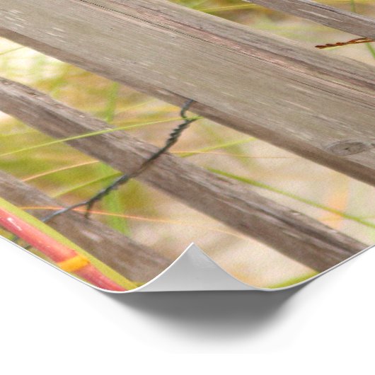 Beach Fence Poster (Ecke)