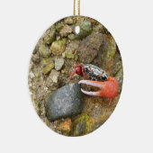 Beach Fiddler Krabbe Keramik Ornament (Rechts)