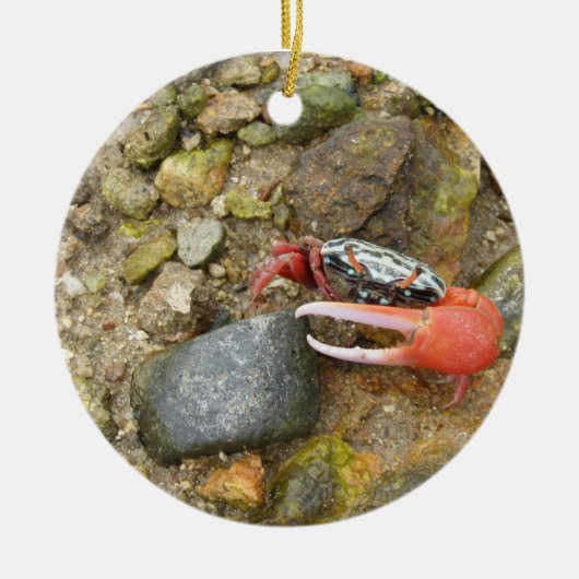 Beach Fiddler Krabbe Keramik Ornament (Vorne)