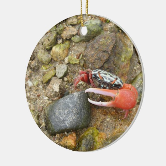 Beach Fiddler Krabbe Keramik Ornament (Links)