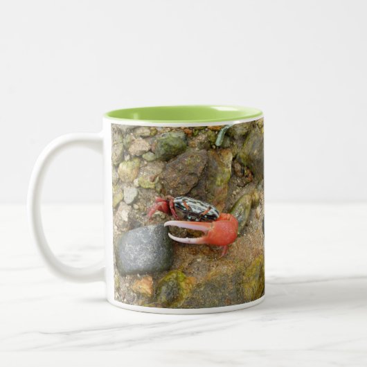 Beach Fiddler Krabbe Zweifarbige Tasse (Links)