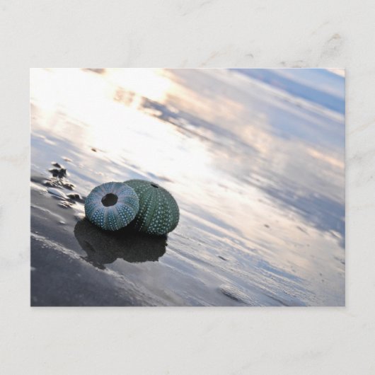 Beach Foto Postkarte (Vorderseite)