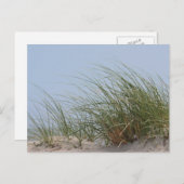 Beach Foto Postkarte (Vorne/Hinten)