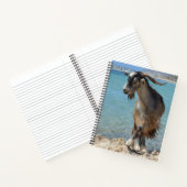 Beach Goat Notebook Notizblock (Innenseite)