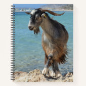 Beach Goat Notebook Notizblock (Vorderseite)
