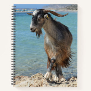 Beach Goat Notebook Notizblock