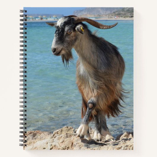 Beach Goat Notebook Notizblock (Vorderseite)