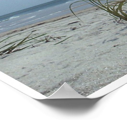 Beach Gras Print Poster (Ecke)