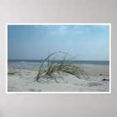 Beach Gras Print Poster (Vorne)