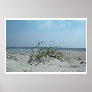 Beach Gras Print Poster