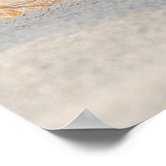 Beach Grass mit Feder Poster (Ecke)