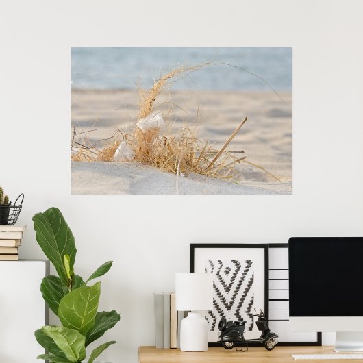 Beach Grass mit Feder Poster (Heimbüro)