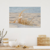 Beach Grass mit Feder Poster (Küche)