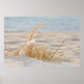 Beach Grass mit Feder Poster (Vorne)