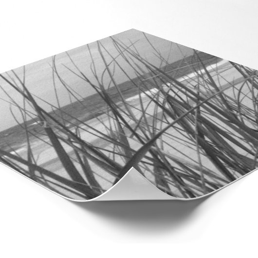 BEACH GRASS POSTER (Ecke)