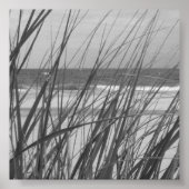 BEACH GRASS POSTER (Vorne)
