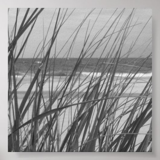 BEACH GRASS POSTER (Vorne)