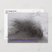 Beach Grass RehoBeide Postkarte (Vorne/Hinten)