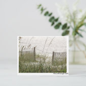 Beach Grass und Zaun Postkarte (Stehend Vorderseite)