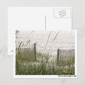 Beach Grass und Zaun Postkarte (Vorne/Hinten)