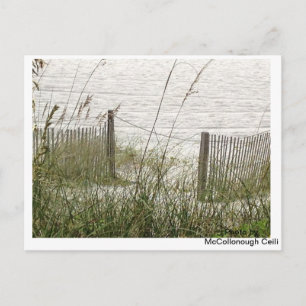 Beach Grass und Zaun Postkarte