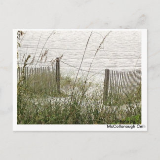 Beach Grass und Zaun Postkarte