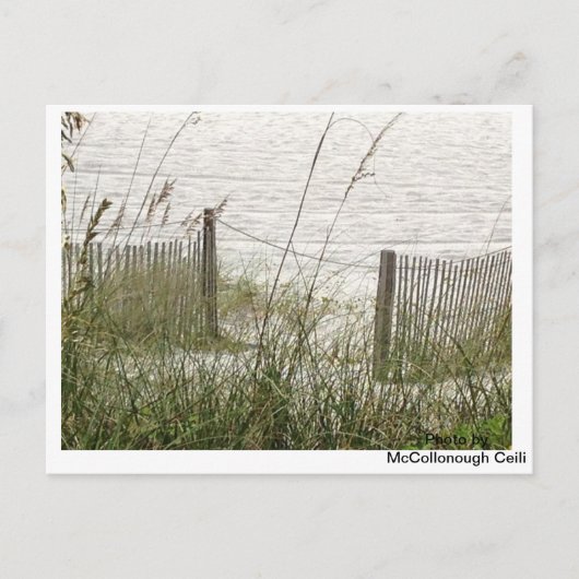 Beach Grass und Zaun Postkarte (Vorderseite)