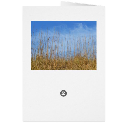 Beach Grass von Shirley Taylor (Hinten)