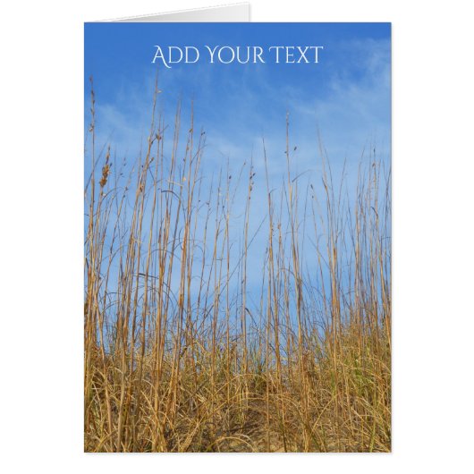 Beach Grass von Shirley Taylor (Vorne)