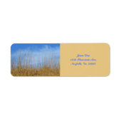 Beach Grass von Shirley Taylor (Vorne)