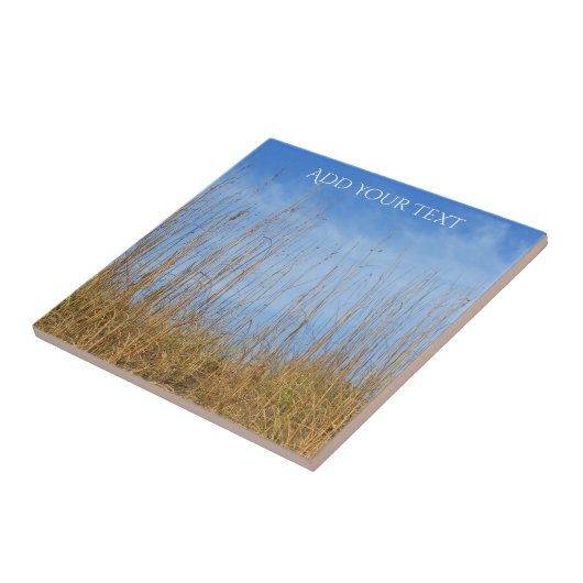Beach Grass von Shirley Taylor Fliese (Seite)