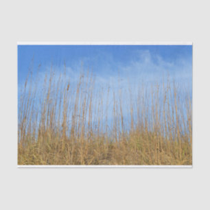 Beach Grass von Shirley Taylor Seidenpapier
