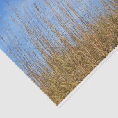 Beach Grass von Shirley Taylor Seidenpapier (Ausschnitt)