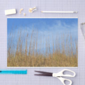 Beach Grass von Shirley Taylor Seidenpapier (Handwerk)