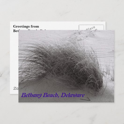 Beach Grasss Bethany Postcard Postkarte (Vorne/Hinten)