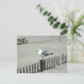 Beach Gull Postkarte (Stehend Vorderseite)