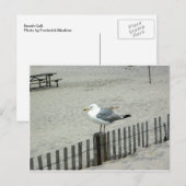 Beach Gull Postkarte (Vorne/Hinten)