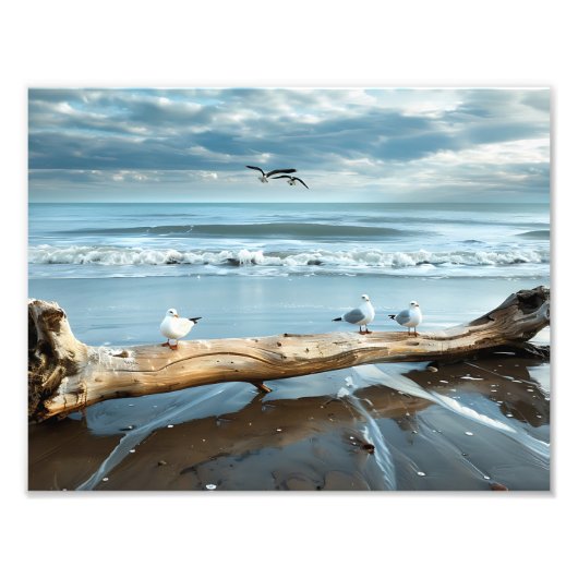 Beach Gulls Foto Print (Vorne)
