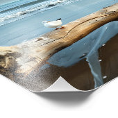 Beach Gulls Foto Print (Ecke)